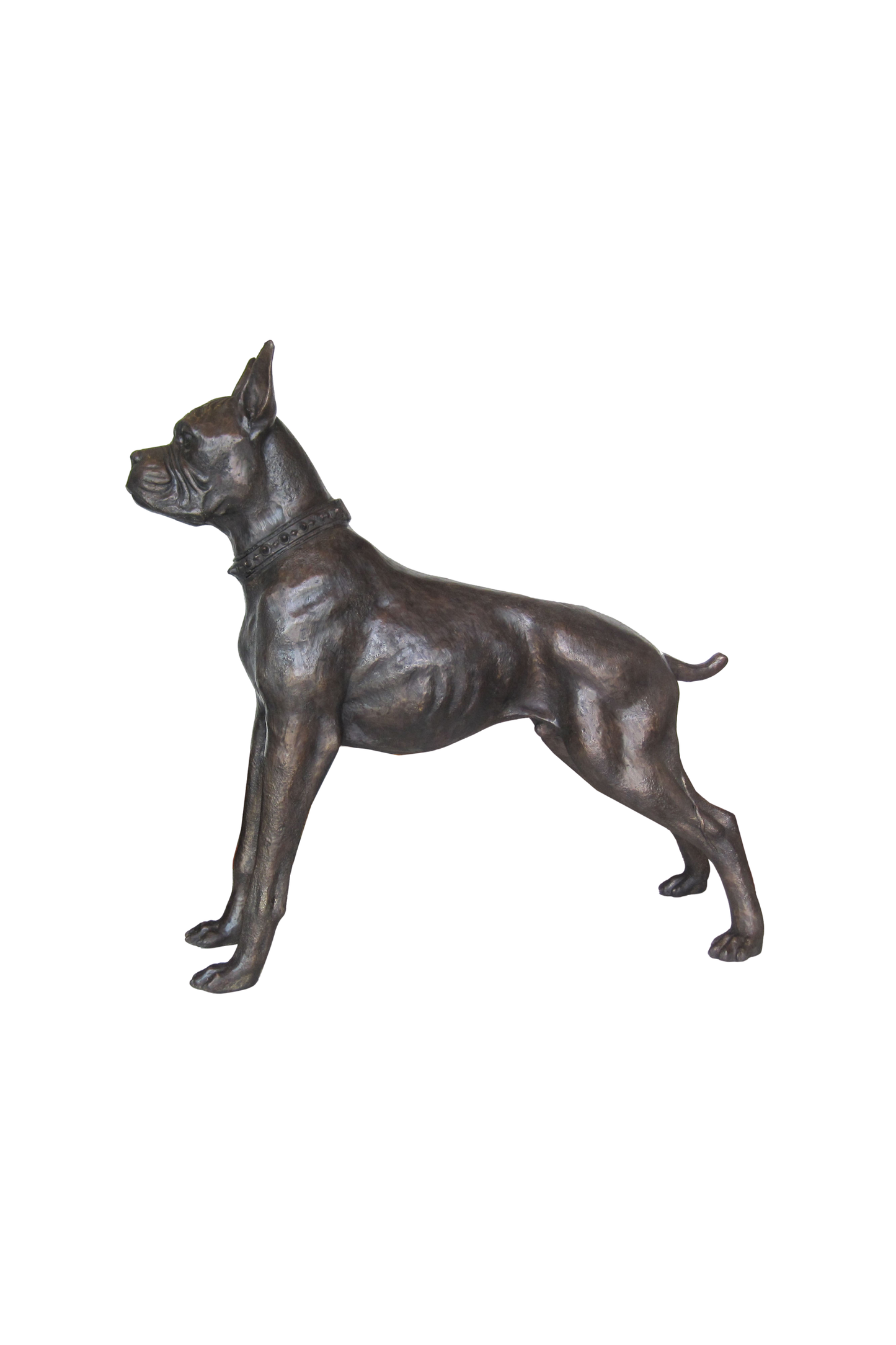 Noble Pitbull Bronze Sculpture | Chantr Living