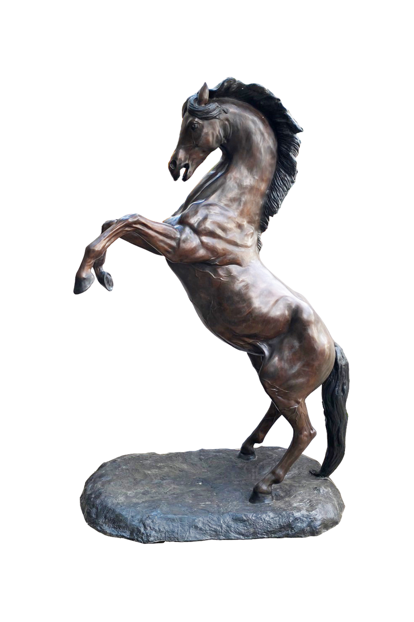 Bronze statue of a rearing horse on a white background