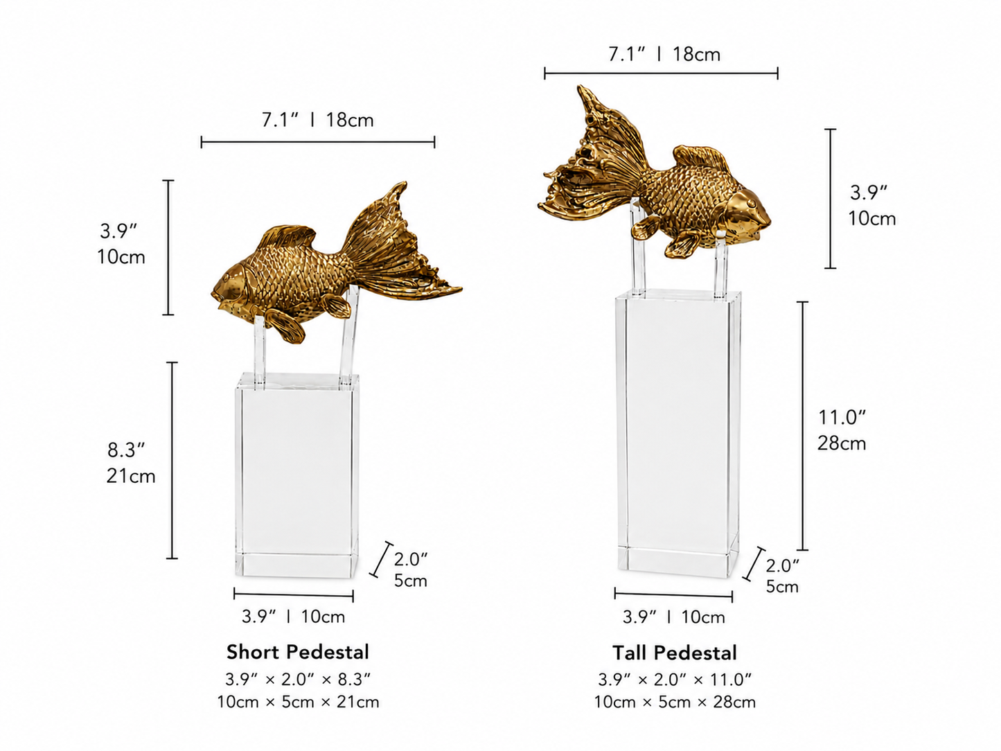 Gold koi fish figurines on pedestals with measurements. Measurements of fish are Height 3.9 inches and 10 cm & length 7.1 inches and 18cm. Pedestal dimensions are height 8.3 inches and 21cm, width 2 inches and 5cm, and length 3.9 inches and 10cm for small pedestal. Tall pedestal height 11 inches and 28cm, width 2 inches and 5cm, and length 3.9 inches and 10cm