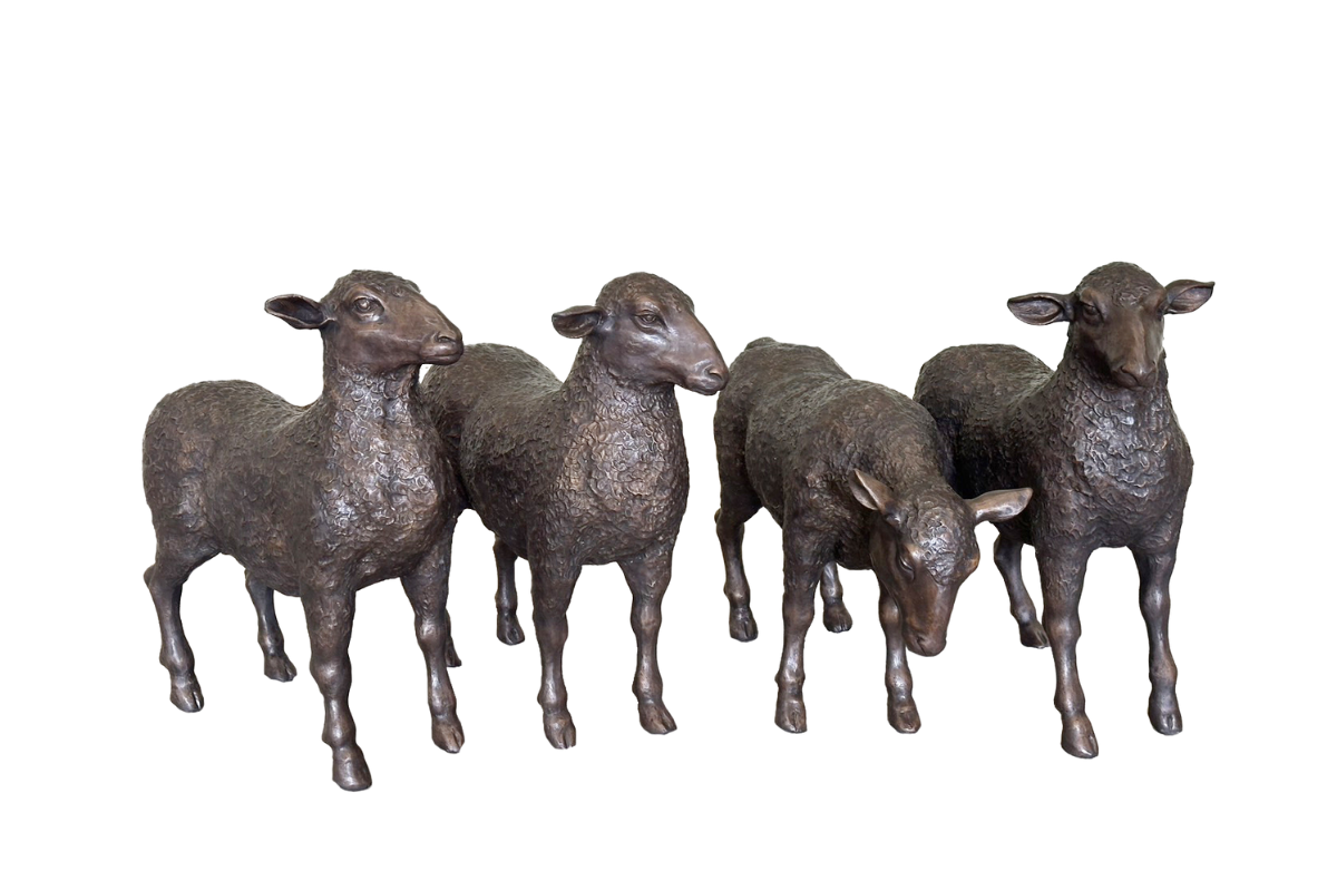 Sheep (D) | Chantr Living