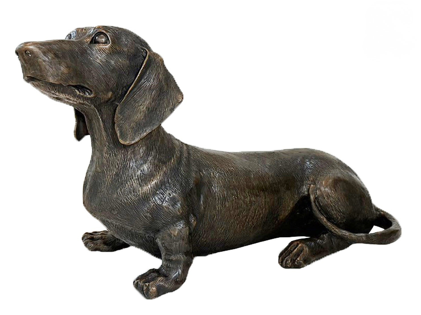 Curious Dachshund | Chantr Living