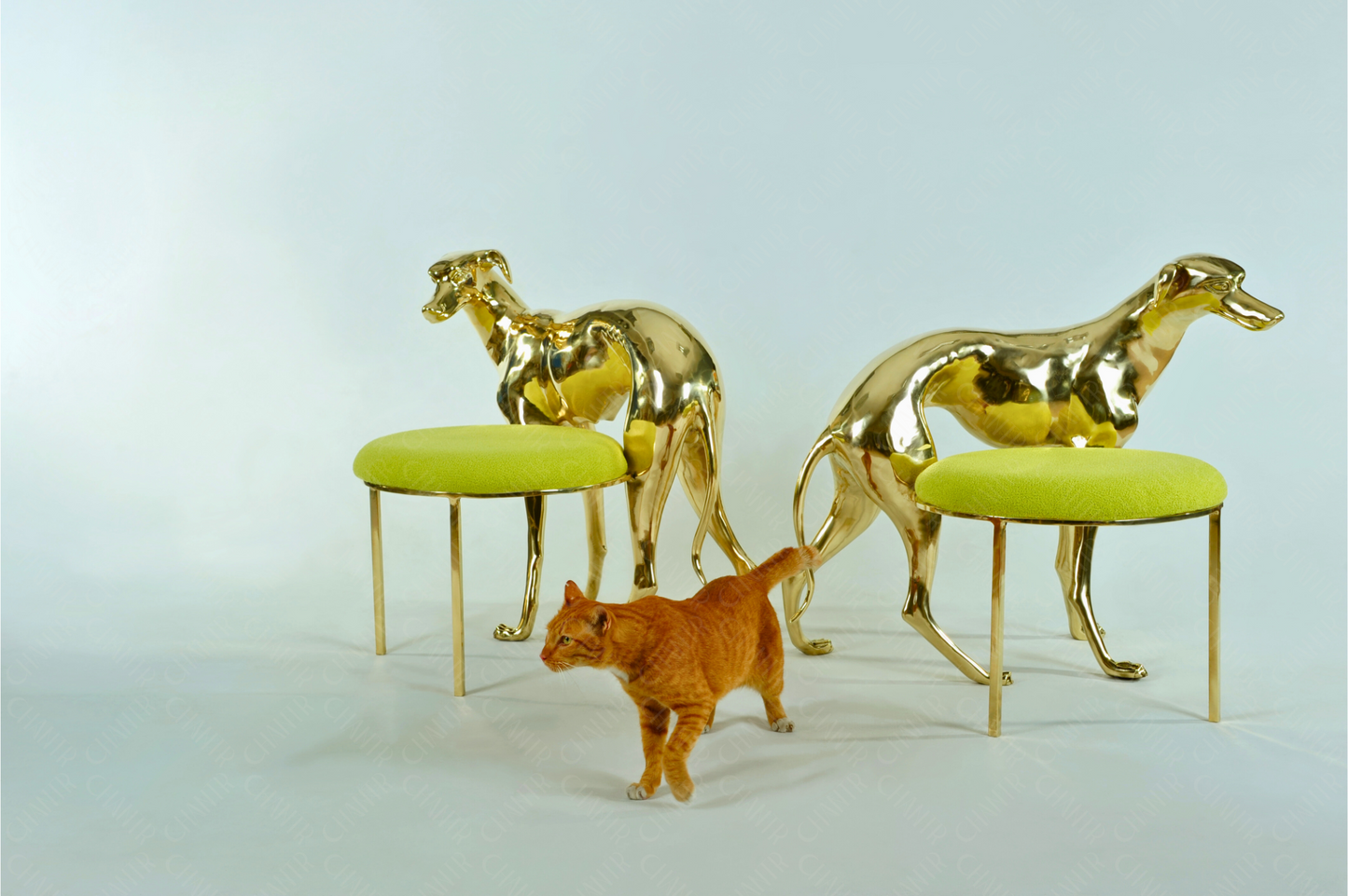 Two gold brass luxury handmade furniture dog-shaped chairs with neon yellow cushioned seats, ideal for modern luxury decor, on a white background.