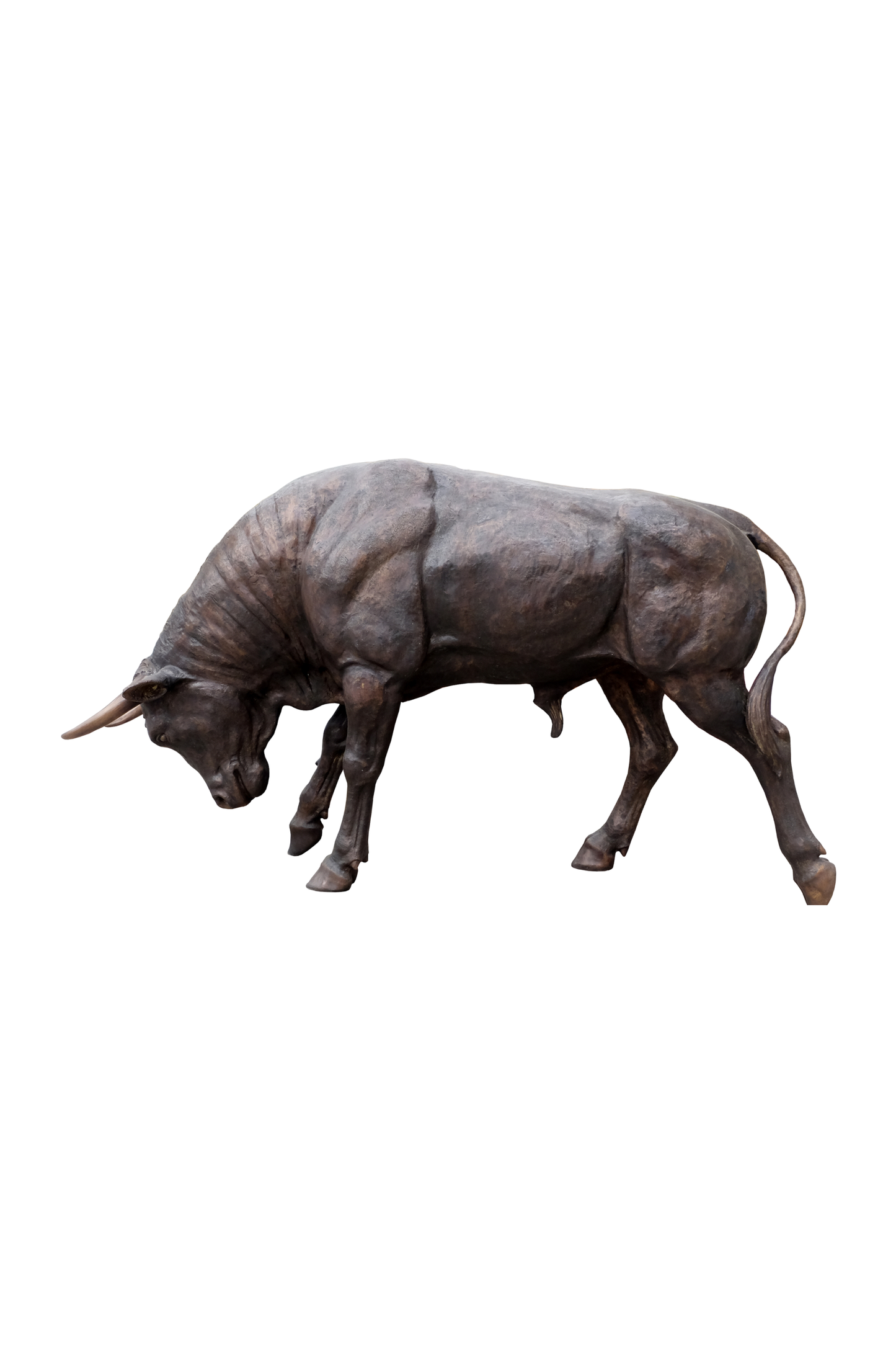 Bronze bull sculpture on a white background