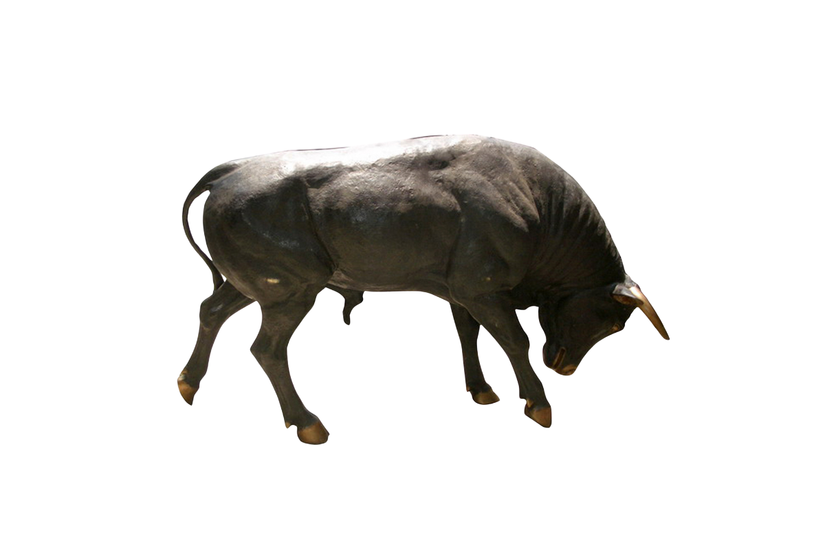 Black bull on a white background