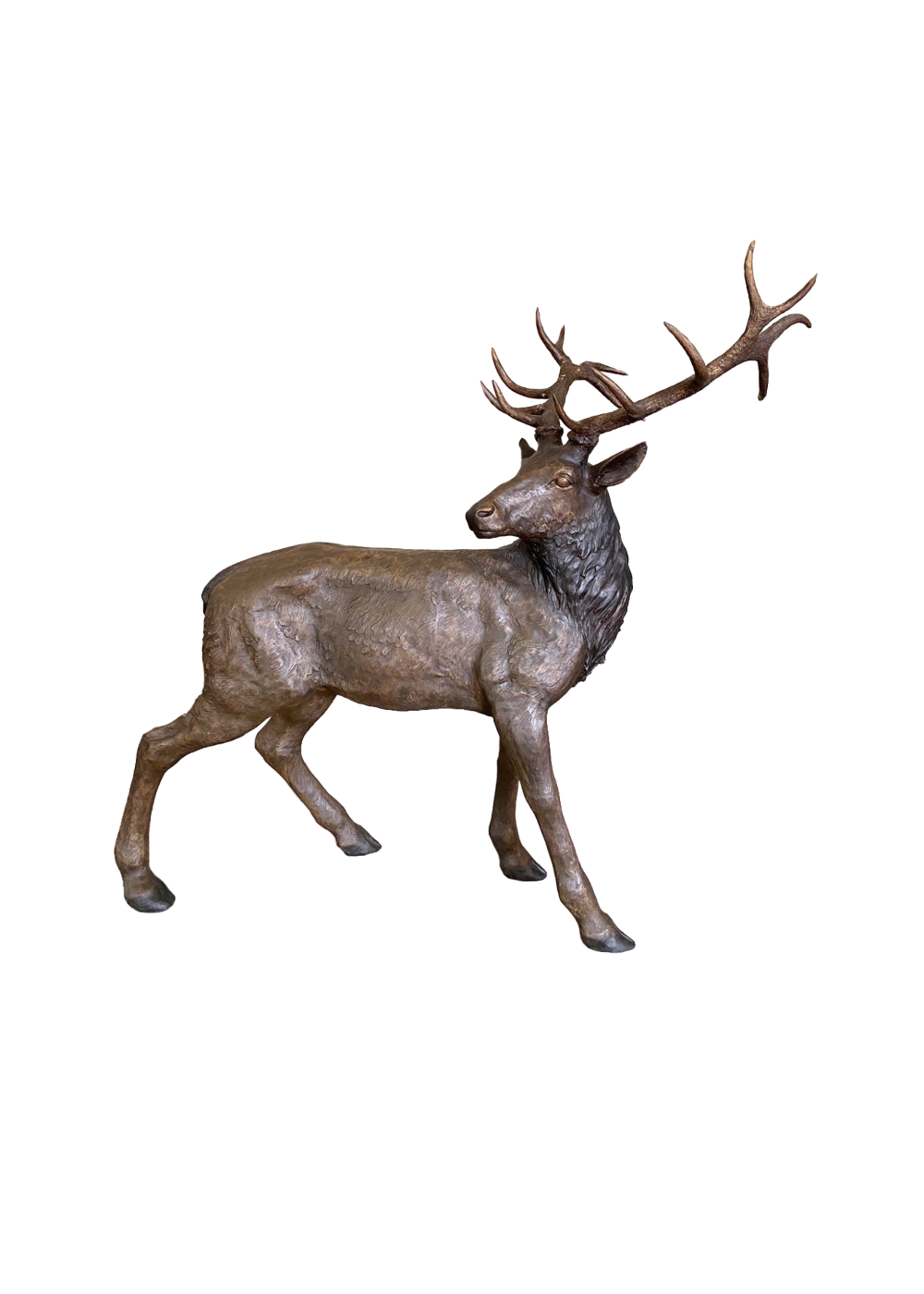 Bronze deer looking behind statue on a white background