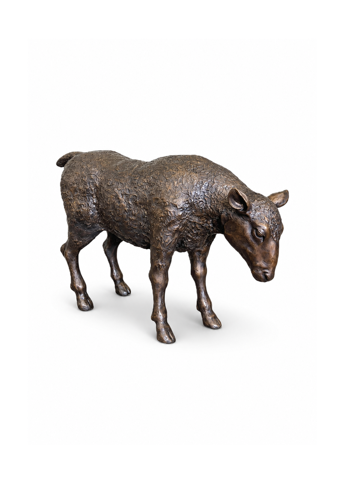 A detailed bronze sculpture of a standing sheep, shown from a three-quarter angle against a plain white background.