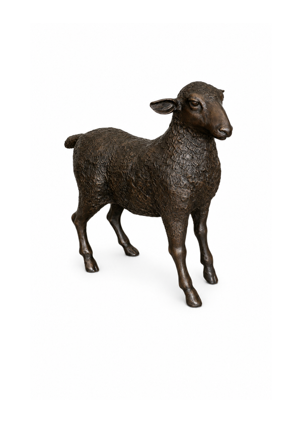 A detailed bronze sculpture of a standing sheep, shown from a three-quarter angle against a solid white background.