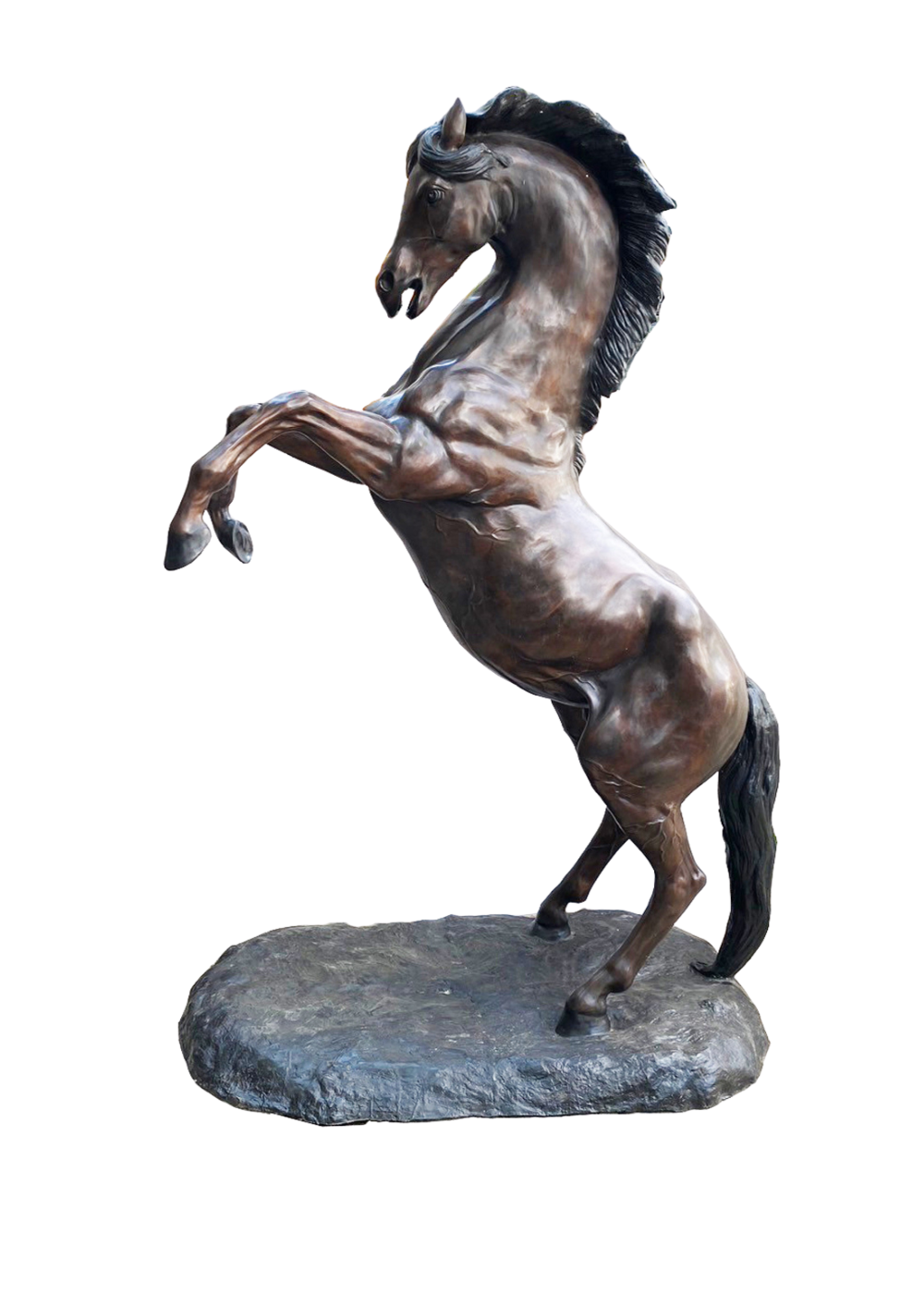 Bronze statue of a rearing horse on a white background