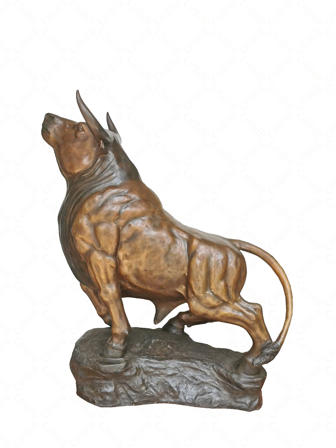 Bronze sculpture of a charging bull standing on a rock on a white background