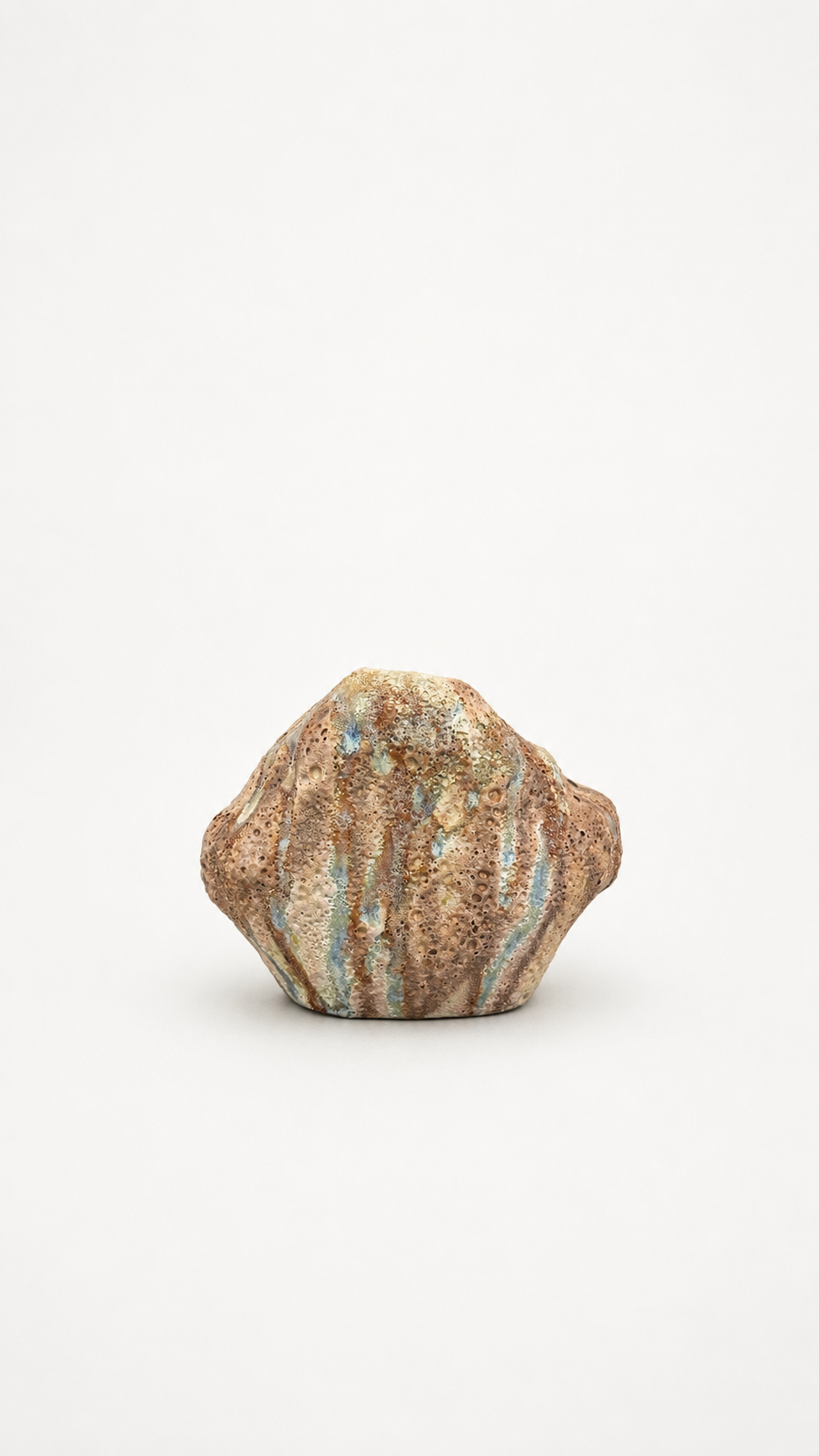 Organic Form Ceramic Vases