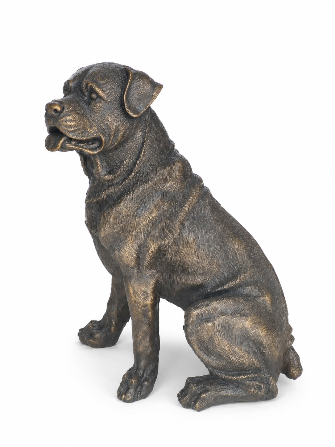 Bronze statue of a sitting dog on a white background