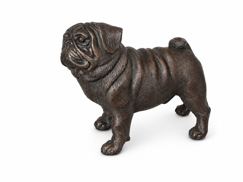 Bronze statue of a pug dog on a white background