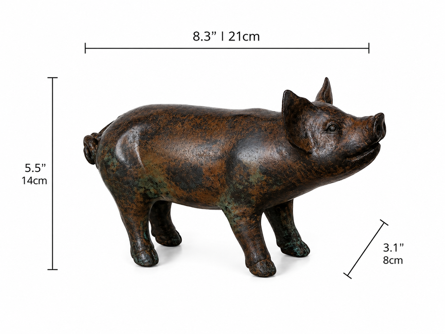 Bronze pig statue with dimensions indicated on a white background, Height 5.5 inches and 14cm. Width 3.1 inches and 8cm. Length 8.3 inches and 21cm. 