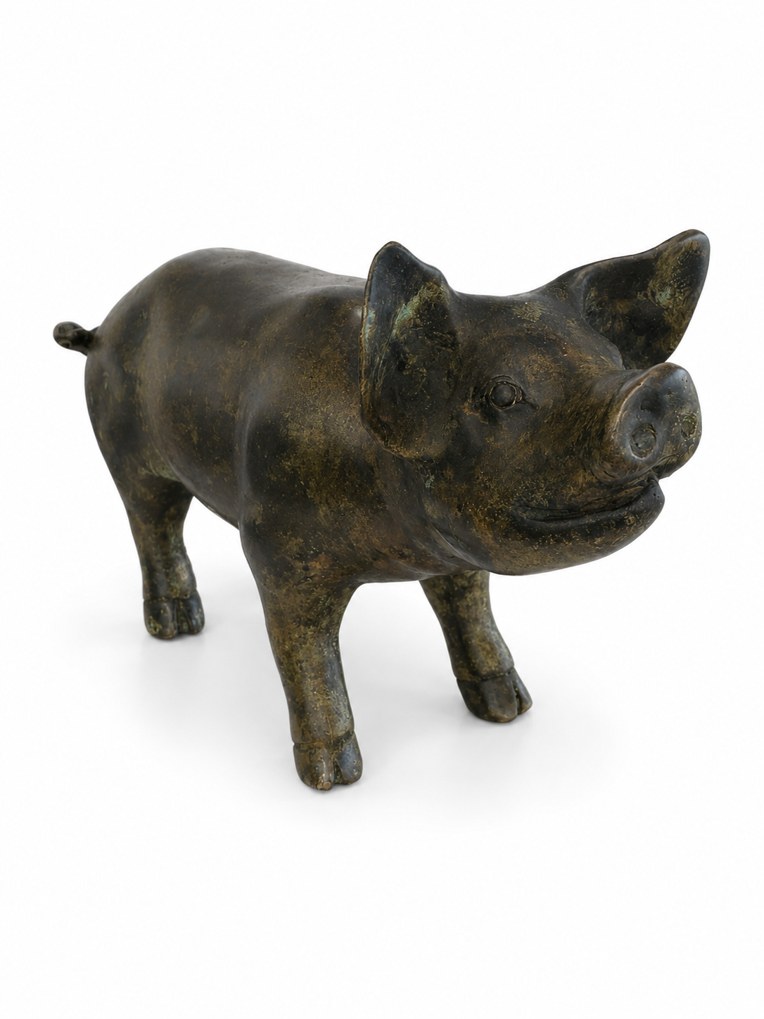 Bronze pig looking up statue on a white background. Straight view.