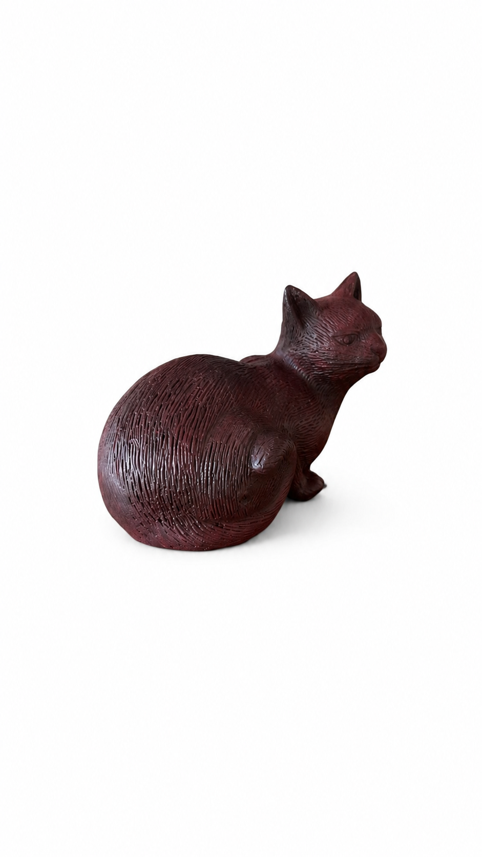 Red Bronze cat laying down. Back view.