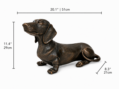 Bronze statue of a dachshund looking up on a white background with measurements. Height 11.4 inches and 29cm. Width 8.3 inches and 21cm. Length 20.1 inches and 51cm