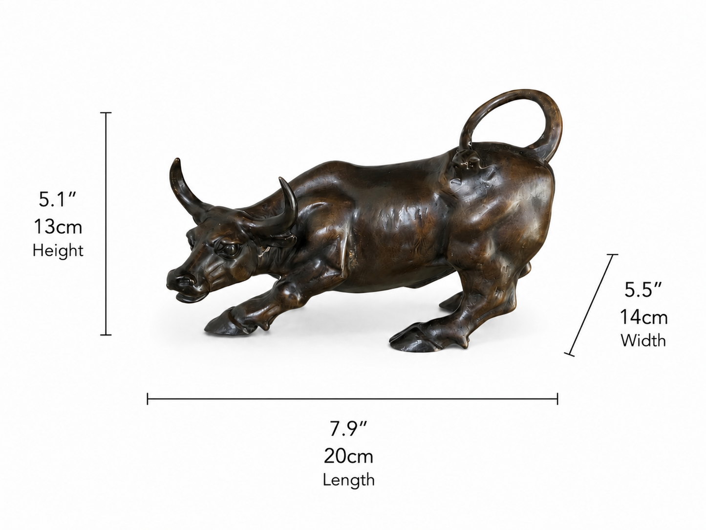 Bronze bull statue with dimensions labeled on a white background. Height 5.1 inches, 13 cm. Width 5.5 inches and 14cm. Length 7.9 inches and 20cm.