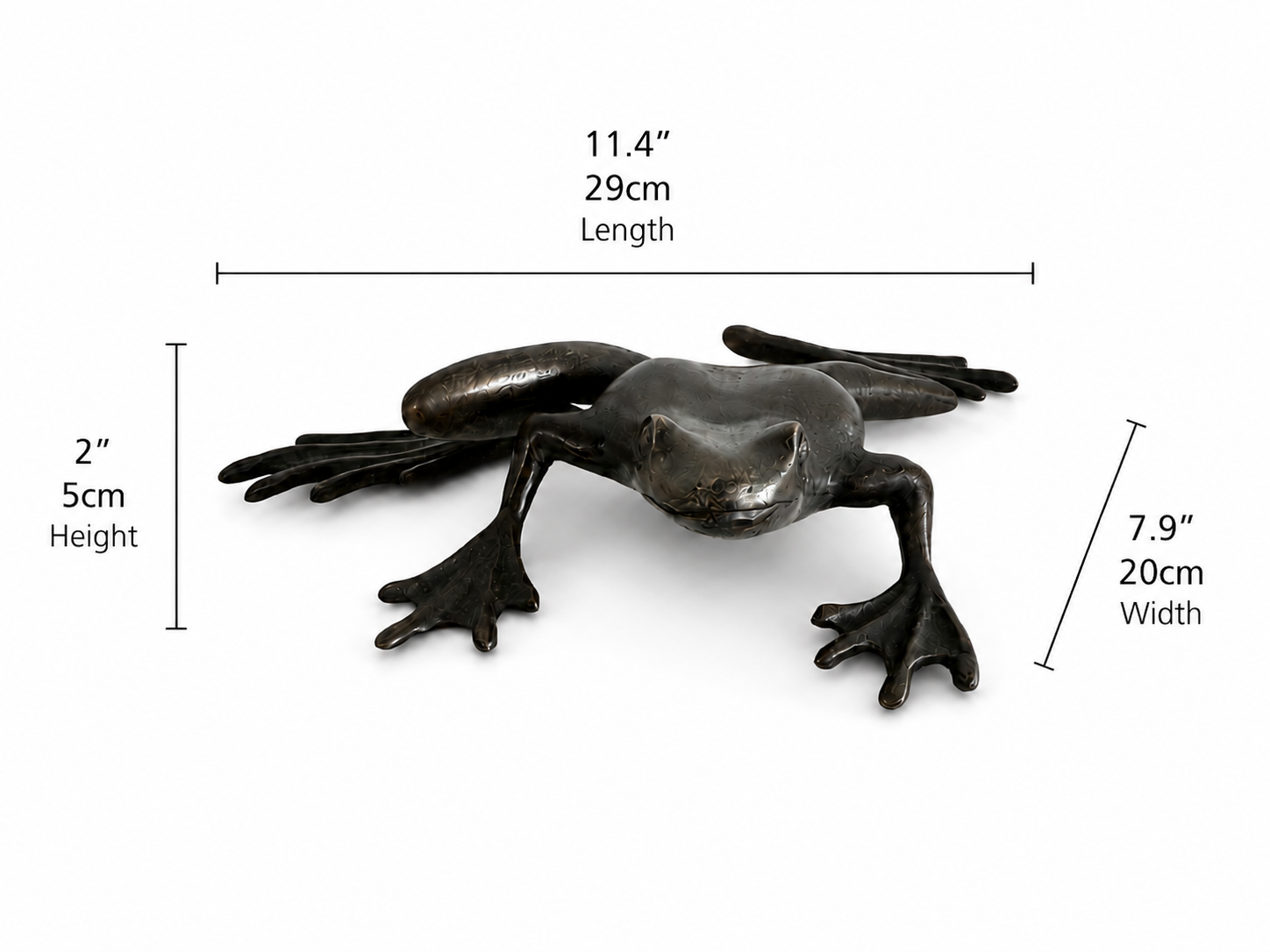 Bronze sculpture of frog about to jump with measurements on a white background. Height 2 inches or 5 cm. Width 7.9 inches and 20cm. Length 11.4 inches and 29cm. 
