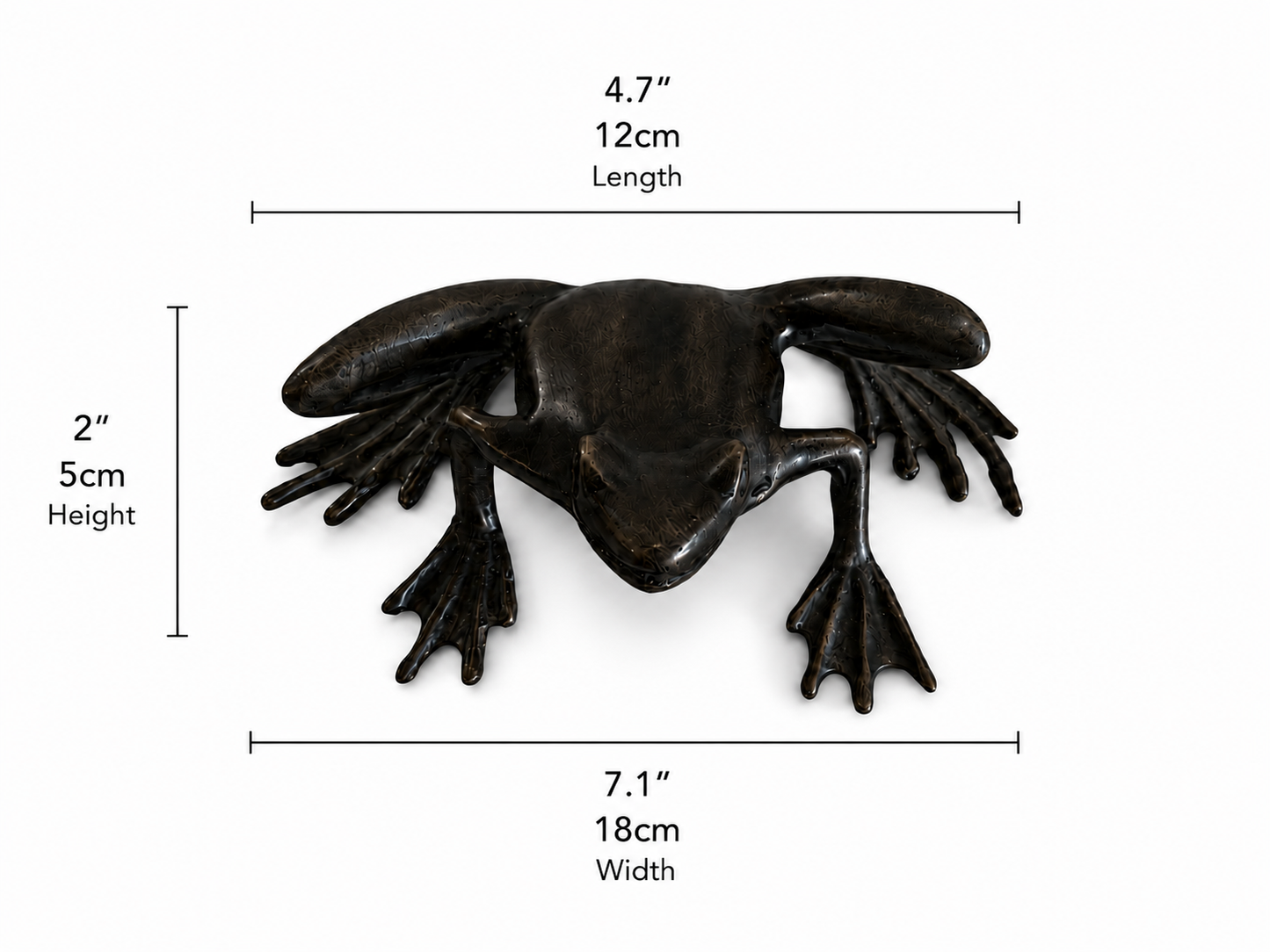 Bronze sculpture of frog about to jump with measurements on a white background. Height 2 inches or 5 cm. Width 7.1 inches and 18cm. Length 4.7 inches and 12cm. 