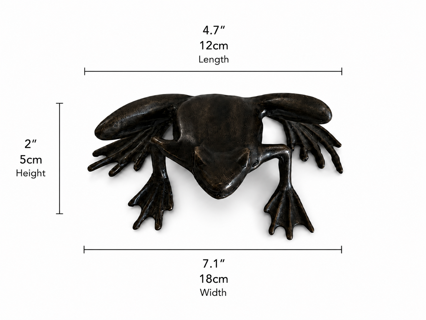 Bronze sculpture of frog about to jump with measurements on a white background. Height 2 inches or 5 cm. Width 7.1 inches and 18cm. Length 4.7 inches and 12cm. 