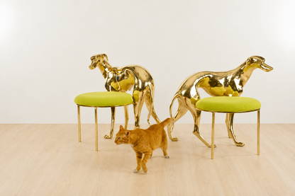 Two gold brass luxury handmade furniture dog-shaped chairs with neon yellow cushioned seats, ideal for modern luxury decor, on a white and beige background. with a cat walking in between them. 