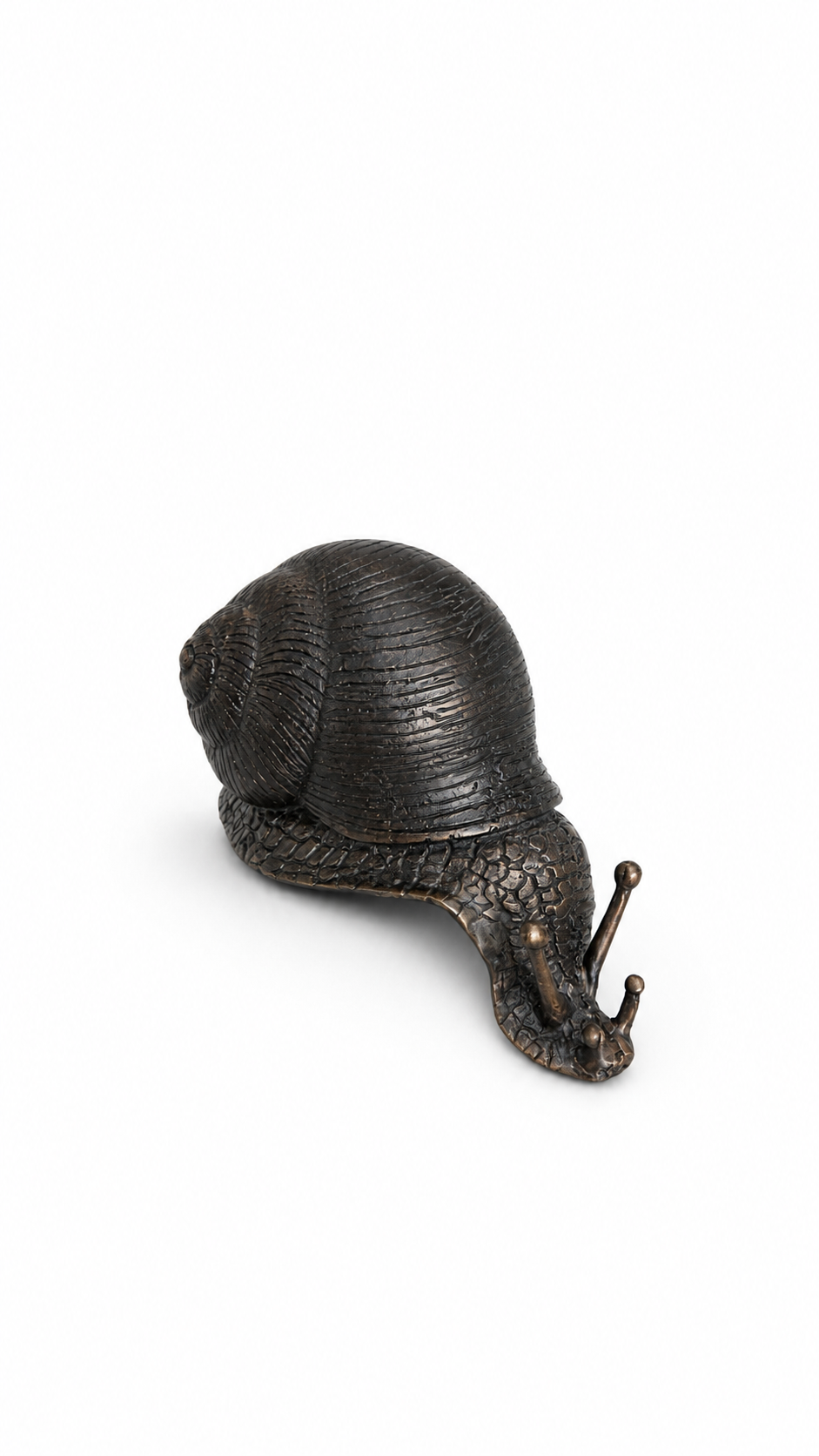 Bronze snail sculpture on a white background