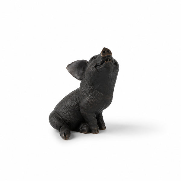 A small black pig figurine sitting and looking upward, photographed on a clean white background.