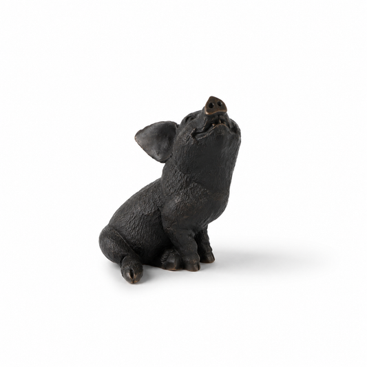 A small black pig figurine sitting and looking upward, photographed on a clean white background.