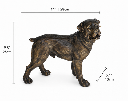 Bronze rottweiler statue with dimensions on a white background. Height 9.8 inches and 25cm, Width 5.1 inches and 13cm and Length 11 inches and 28cm