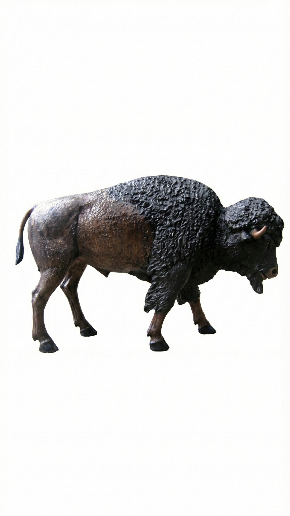 Bronze statue of a bison on a white background