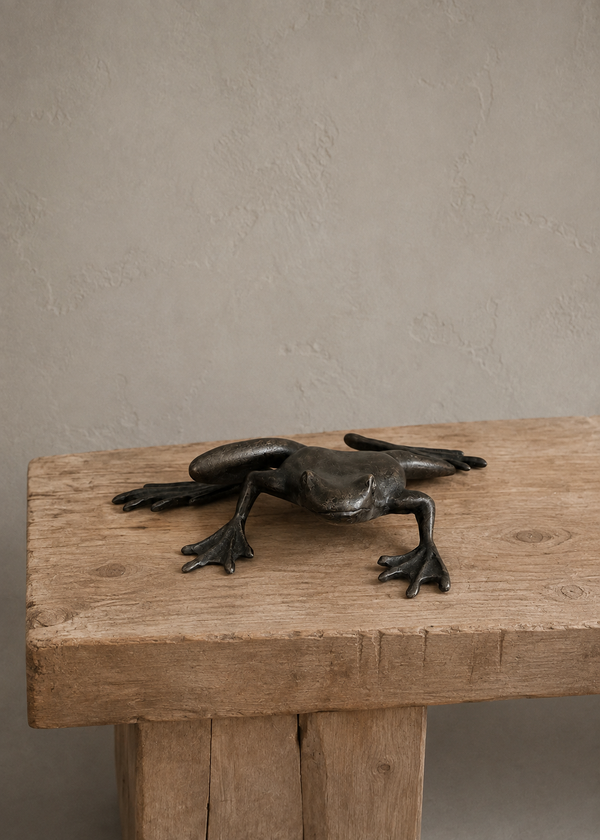 A dark bronze frog sculpture resting on a rustic wooden bench against a textured beige wall.