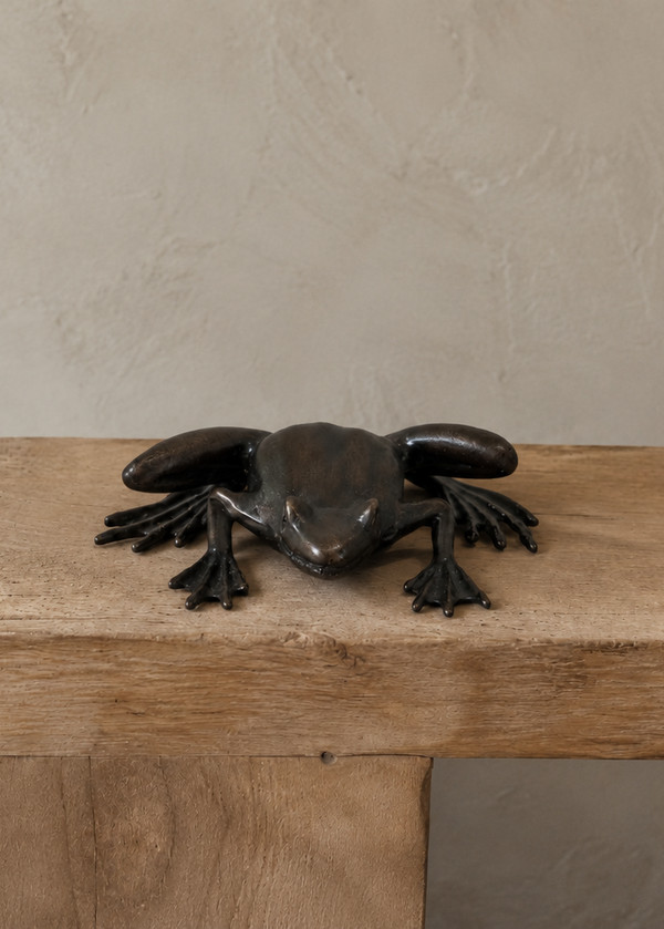 A dark bronze frog sculpture sitting on a rustic wooden bench against a textured beige wall.