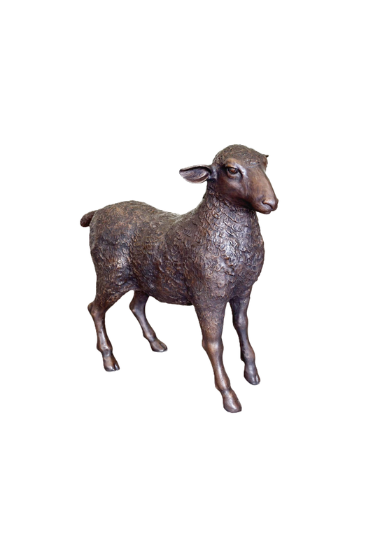 Sheep (B) | Chantr Living