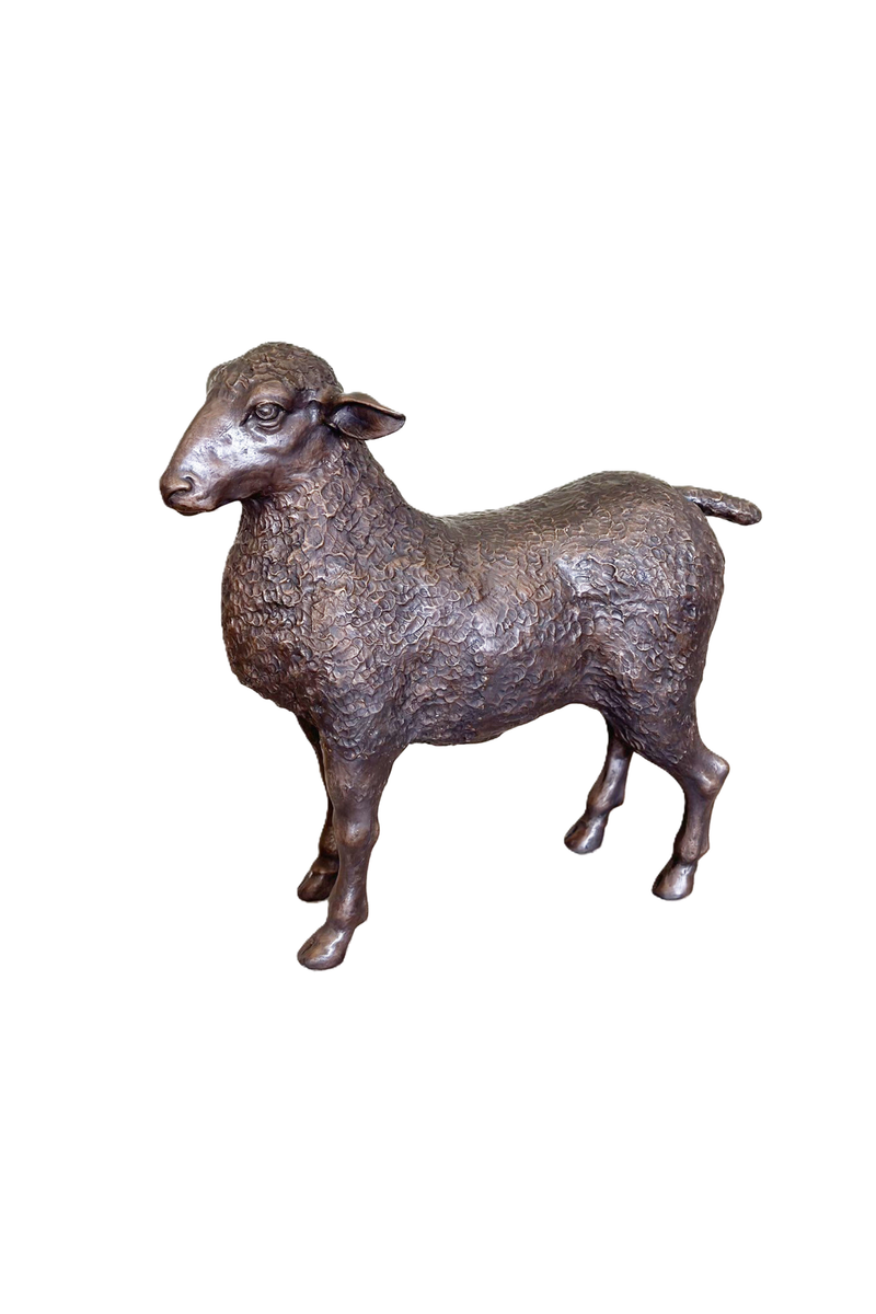 Sheep (C) | Chantr Living