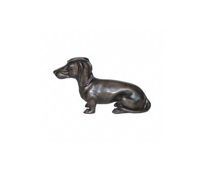 Dachshund