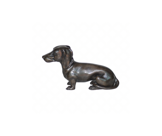 Dachshund