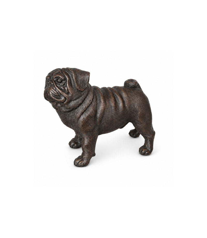 bronze pug