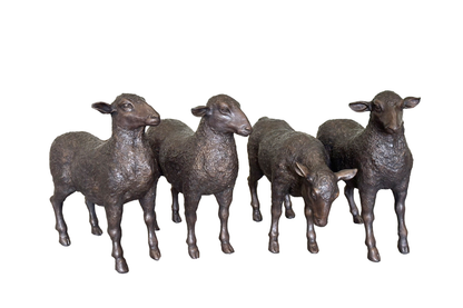 Sheep (D) | Chantr Living