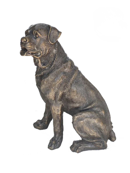 Sitting Rottweiler | Chantr Living