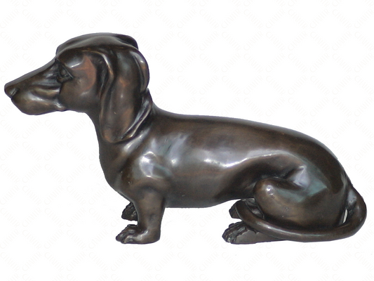 Dachshund