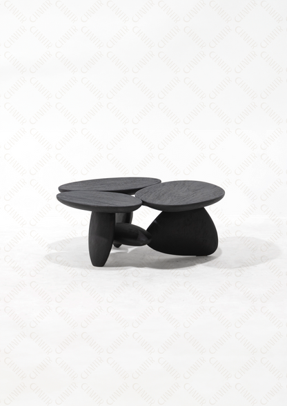 Modern black luxury handmade furniture coffee table, perfect for modern luxury decor, on a white background