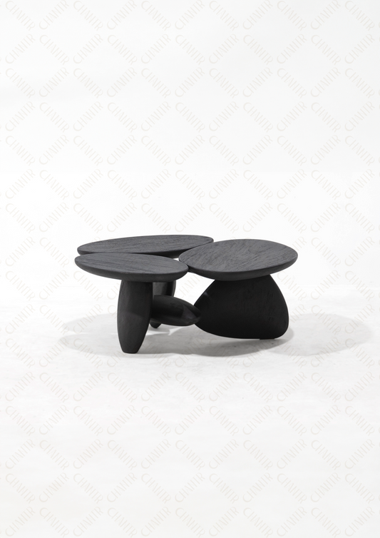Modern black luxury handmade furniture coffee table, perfect for modern luxury decor, on a white background